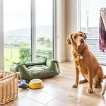 2 Bed In Wigton Oc-80563 Lodge *