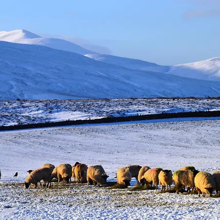 2 Bed In 80563 Ferienhaus Caldbeck