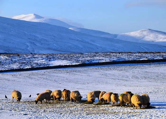 2 Bed In Wigton Oc-80563 אכסניה Caldbeck