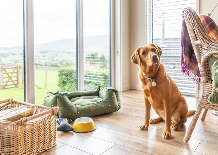 2 Bed In Wigton Oc-80563 אכסניה Caldbeck