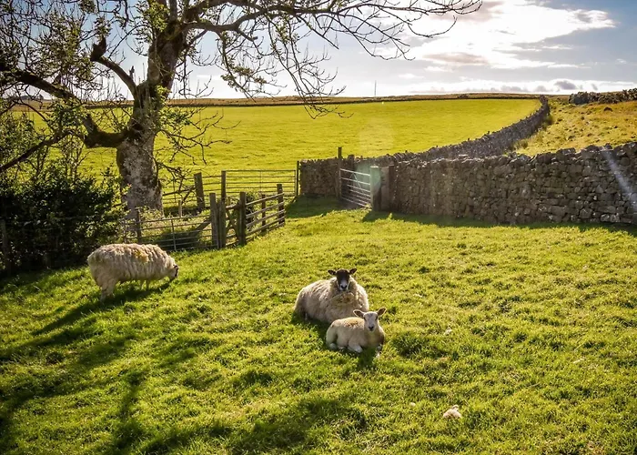 אכסניה 2 Bed In Wigton Oc-80563 *